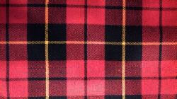 wallace modern tartan